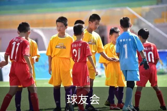 球友会公司介绍